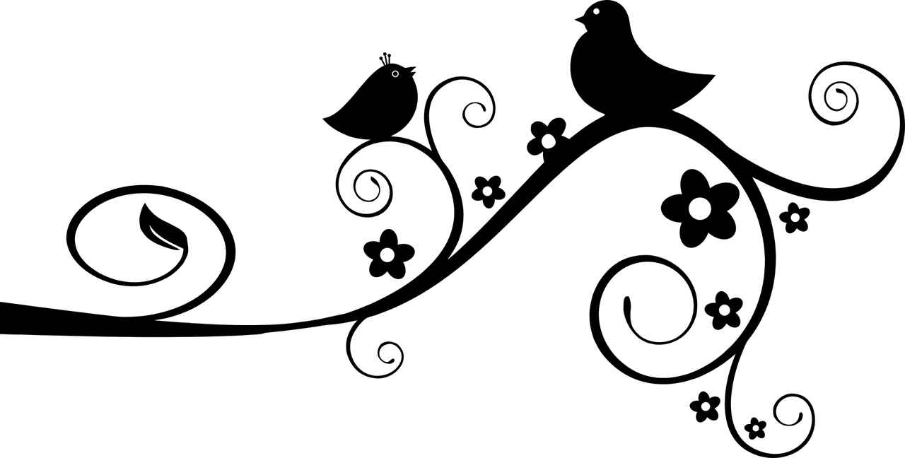 passaro